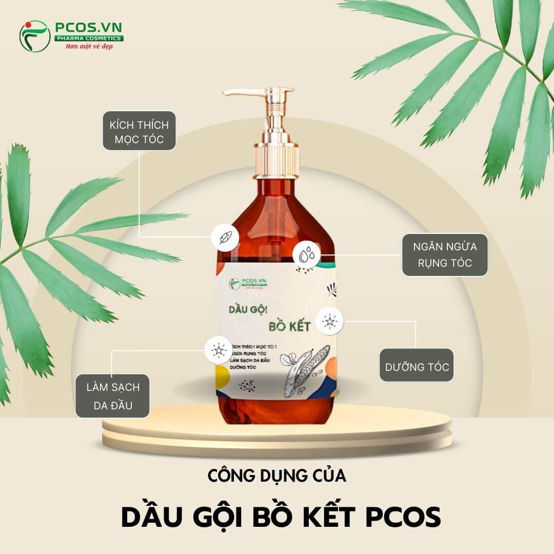 Các công dụng của dầu gội bồ kết