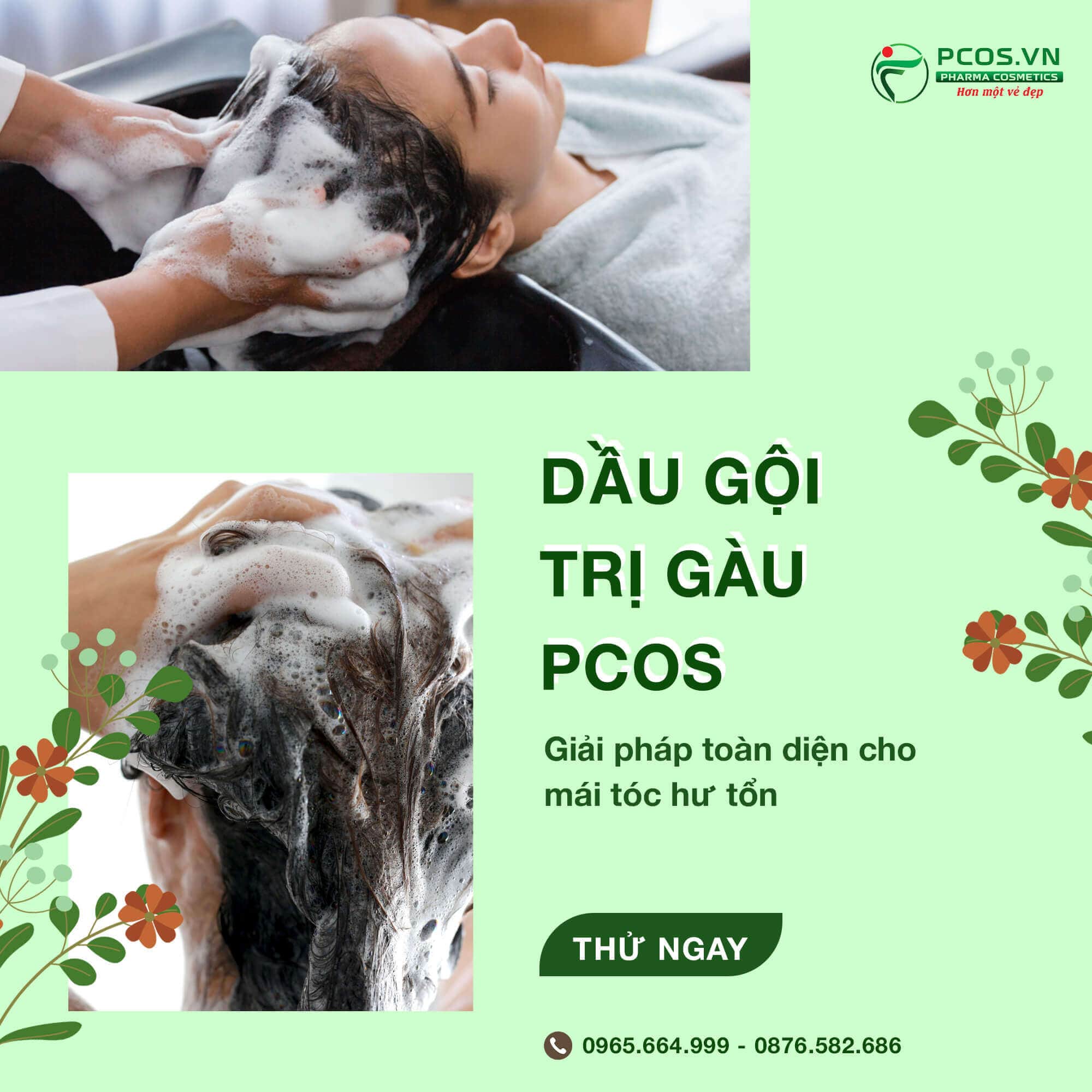 Công dụng dầu gội trị gàu