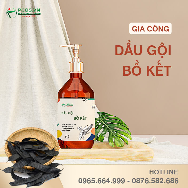 Gia công dầu gội bồ kết