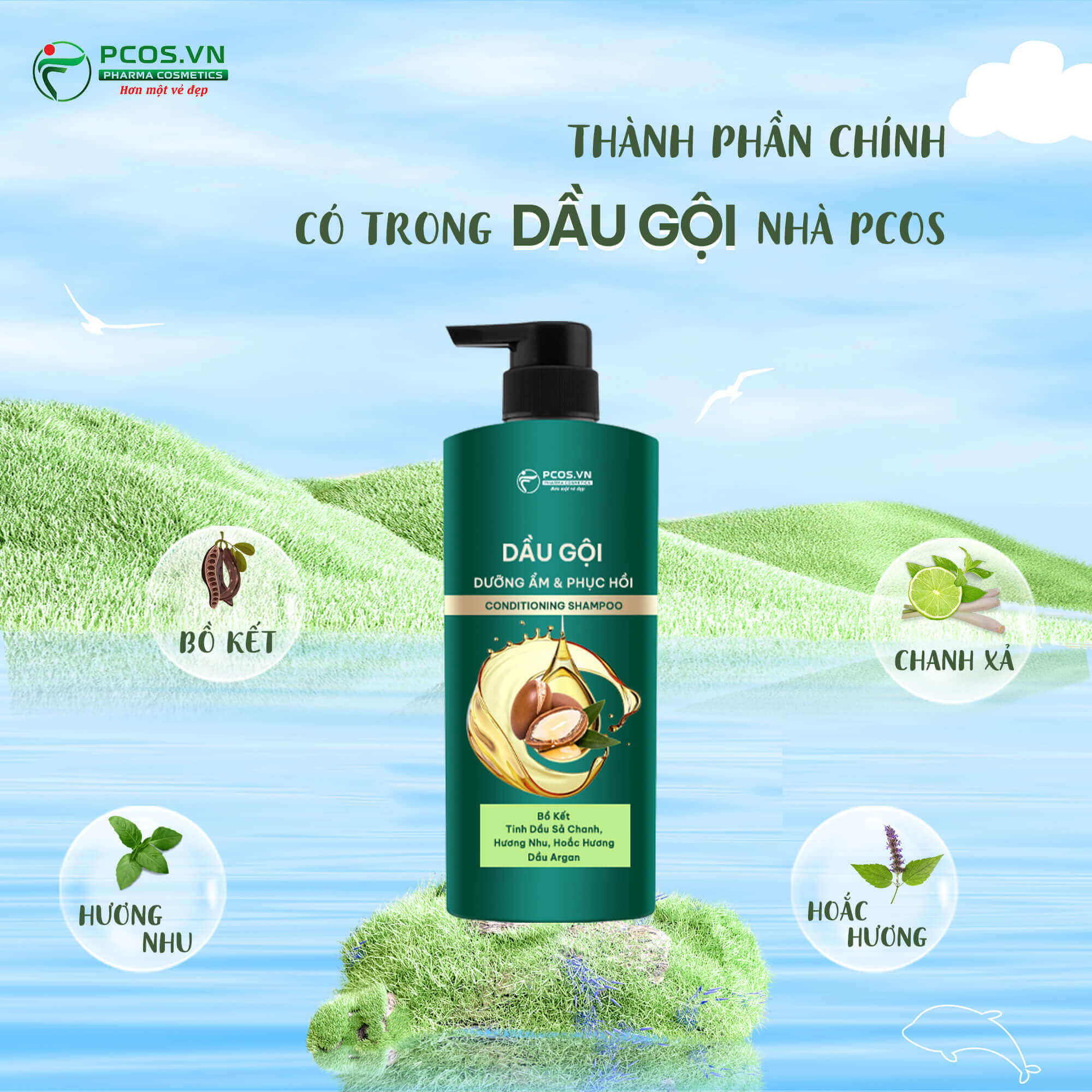 Gia công dầu gội thành phần thiên nhiên