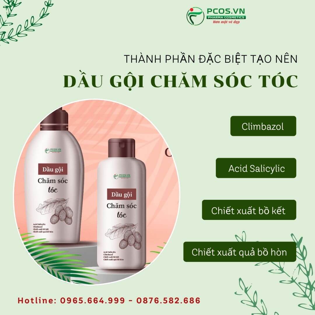 Thành phần thiên nhiên có trong sản phẩm chăm sóc tóc