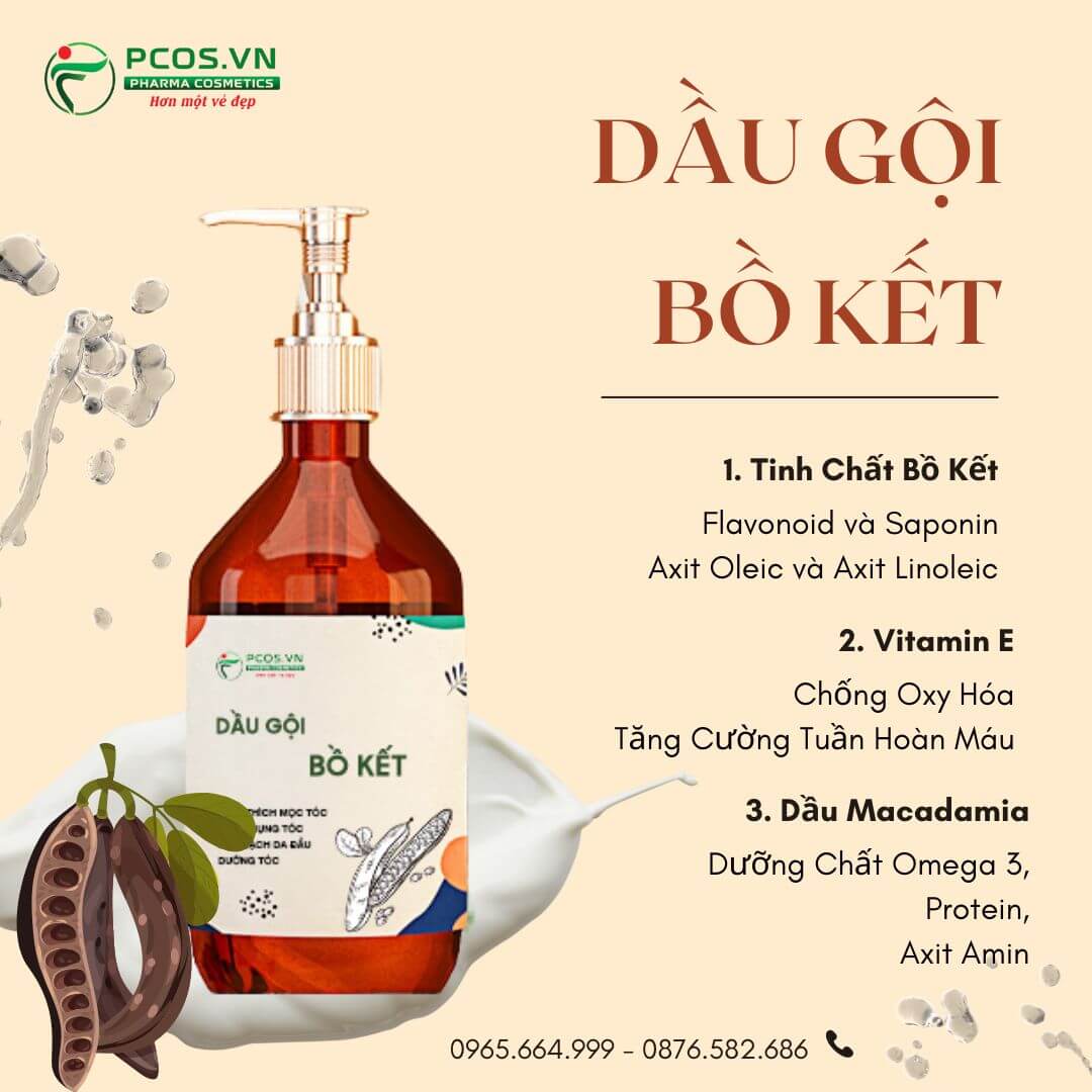 Thành phần thiên nhiên trong dầu gội bồ kết