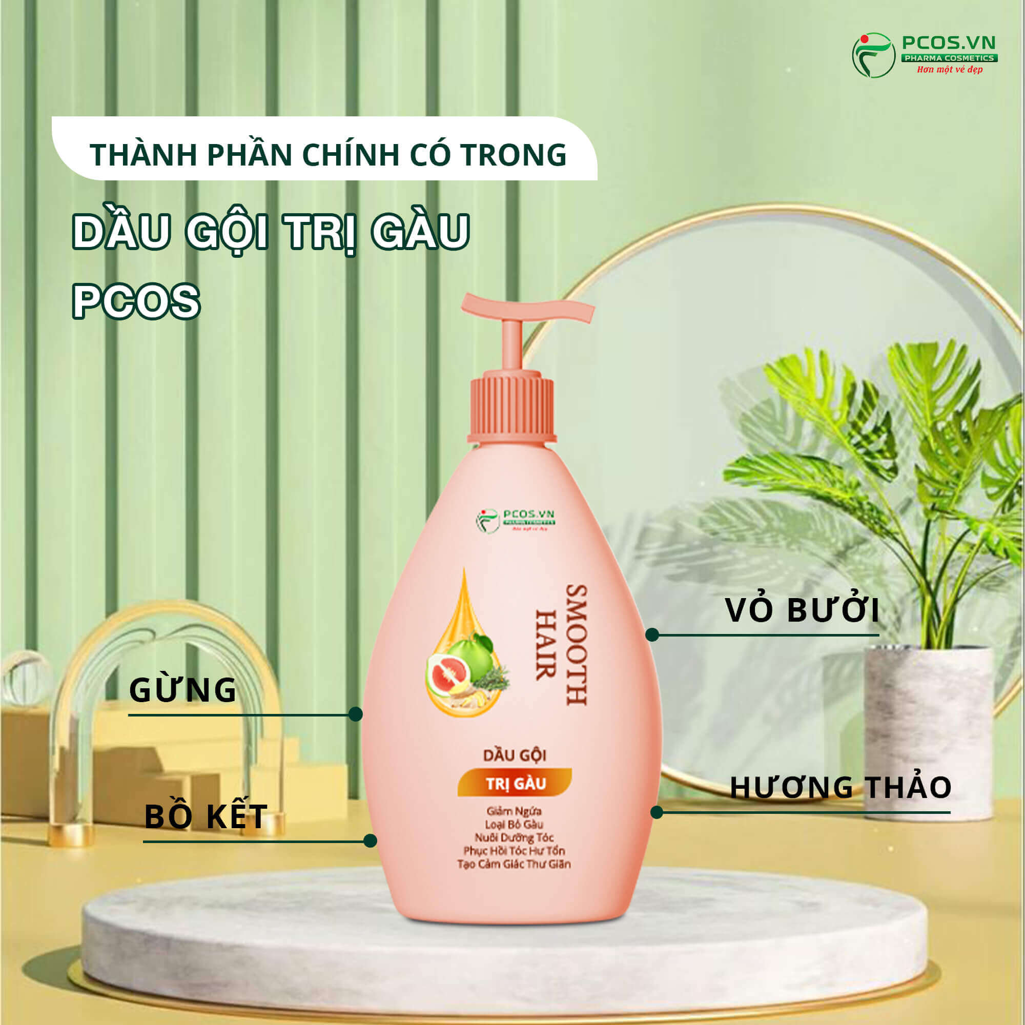 Thành phần dầu gội trị gàu