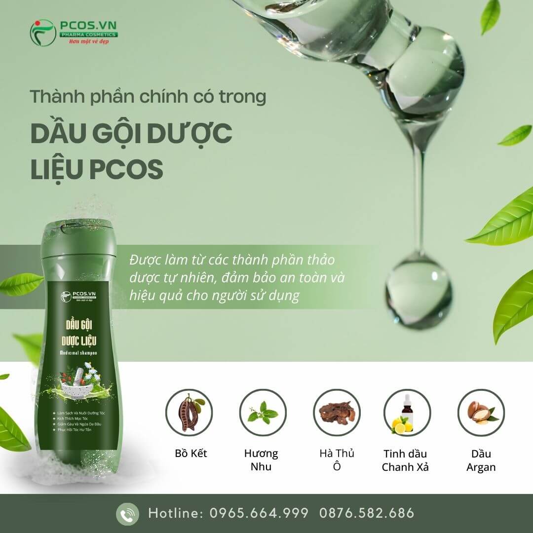 Thành phần có trong dầu gội đầu dược liệu