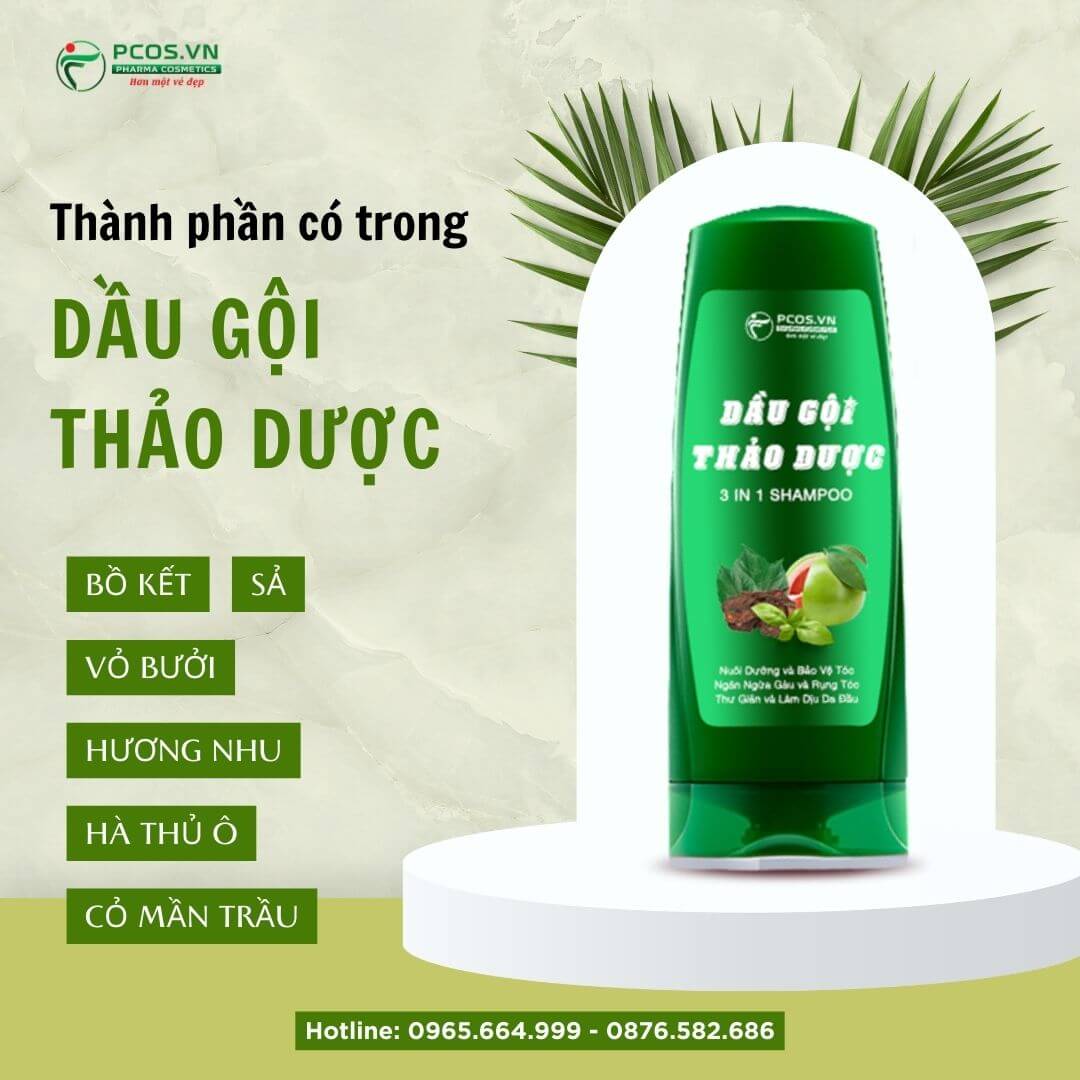 Thành phần có trong dầu gội đầu thảo dược